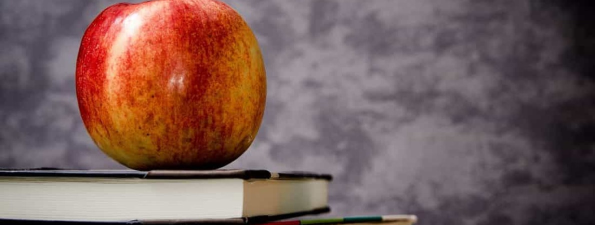 Ausbildung für Fachsekretärinnen: Wie findet man den perfekten Anbieter